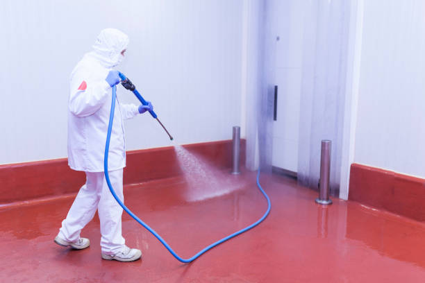 Best Gutter Cleaning and Brightening in Sea Isle City, NJ