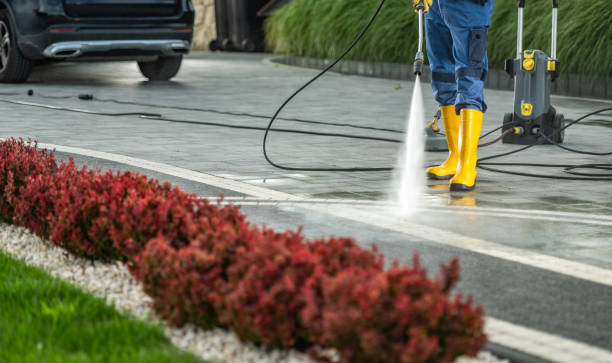 Best Soft Washing for Delicate Surfaces in Sea Isle City, NJ